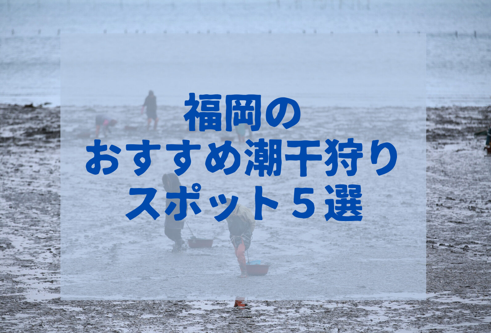 ２０２１年 福岡の潮干狩りおすすめスポット５選 大潮カレンダー付 らくナビ
